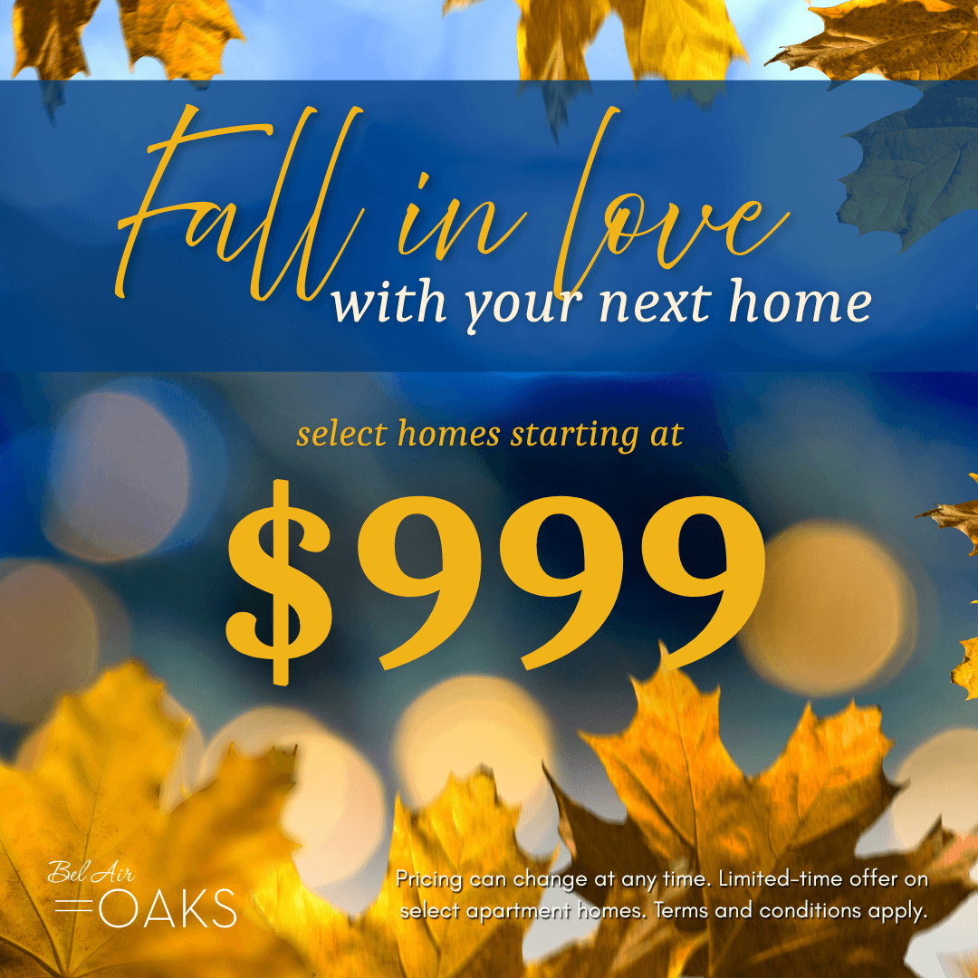Move In Promotion Banner