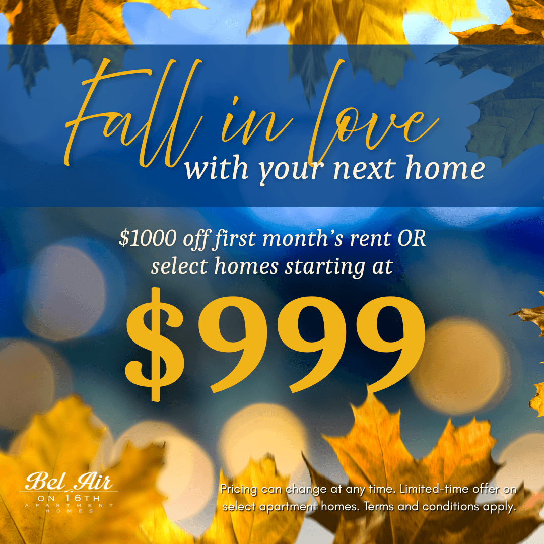 Move In Promotion Banner