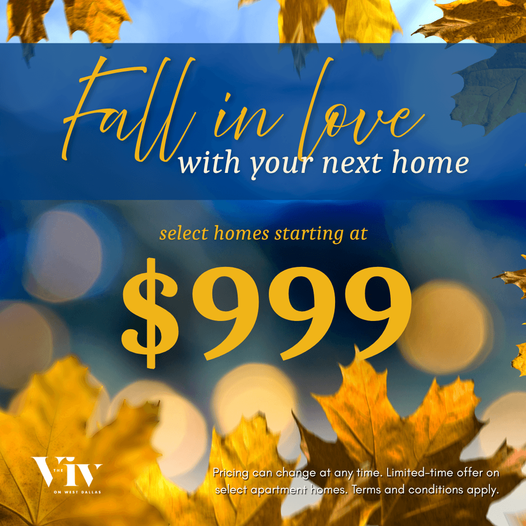 Move In Promotion Banner