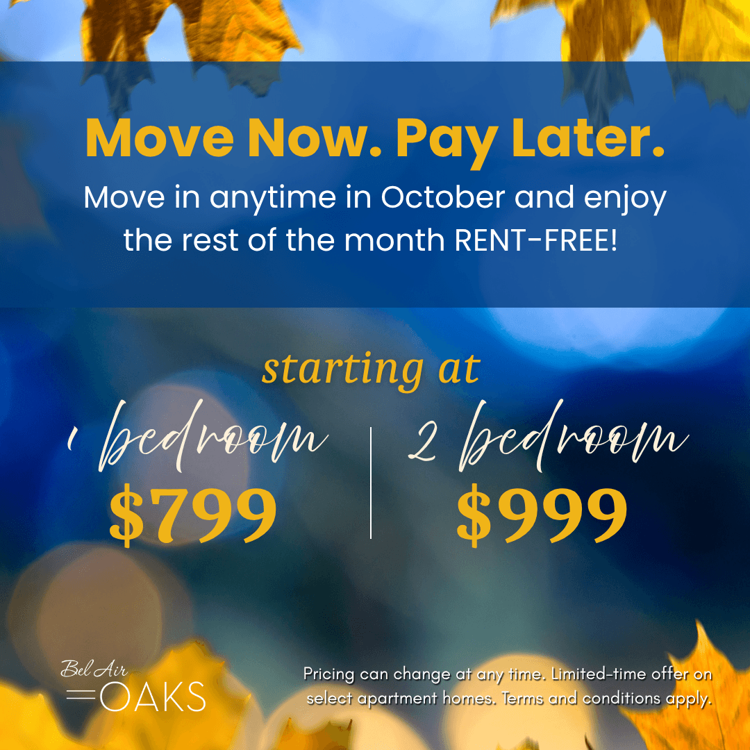 Move In Promotion Banner