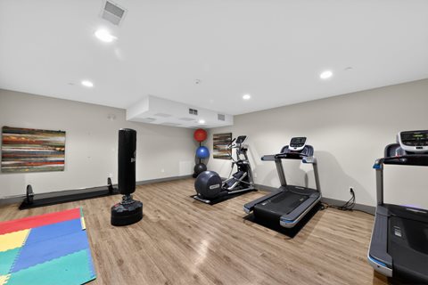 A room with a treadmill, a stationary bike, a rowing machine, and a speaker.