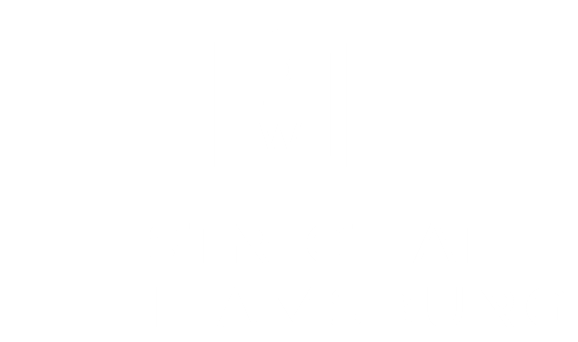 A logo with the letters DW inside a hexagon and the words District at Williamsburg below it.