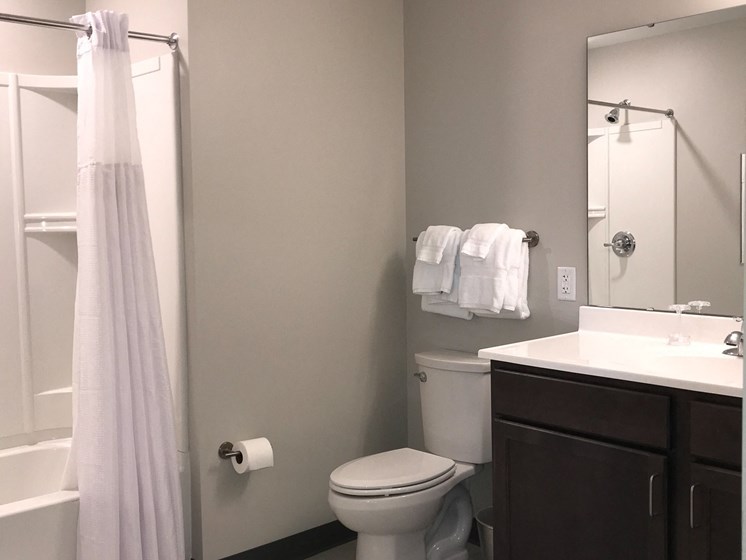 Apartment bathroom-The Arts Lofts at Dayton Arcade, Dayton, OH