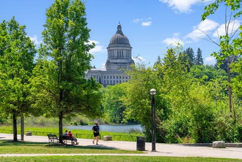 a park with the state capitol building in the background