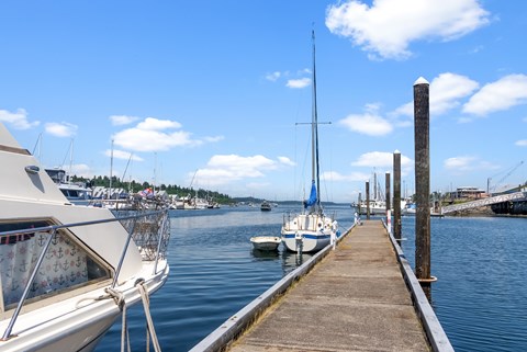 a dock with boats in the water at a marina