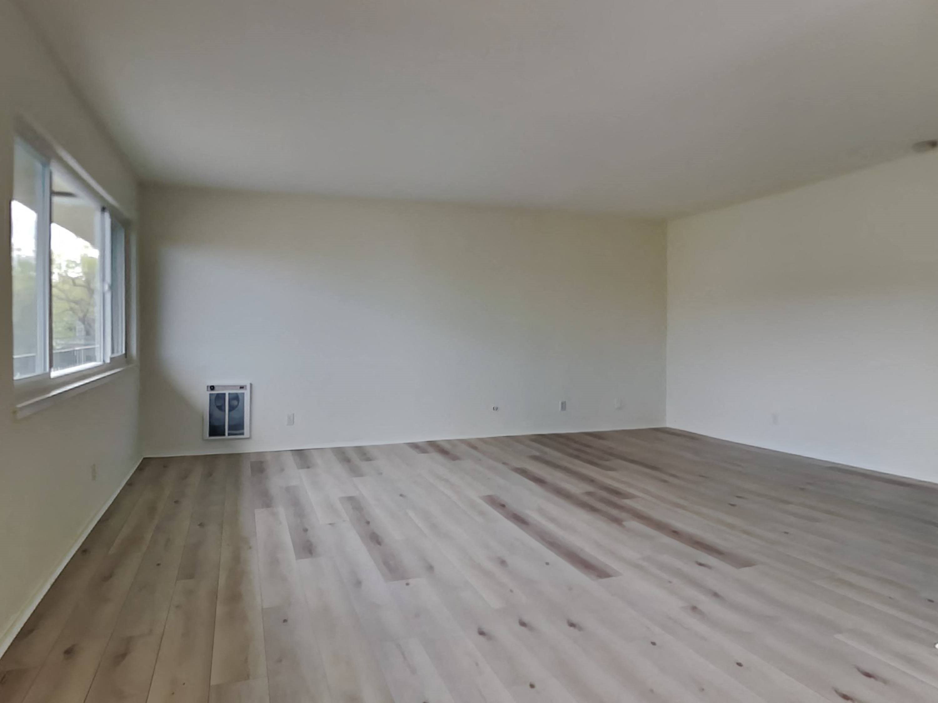 Gallery Photo 6