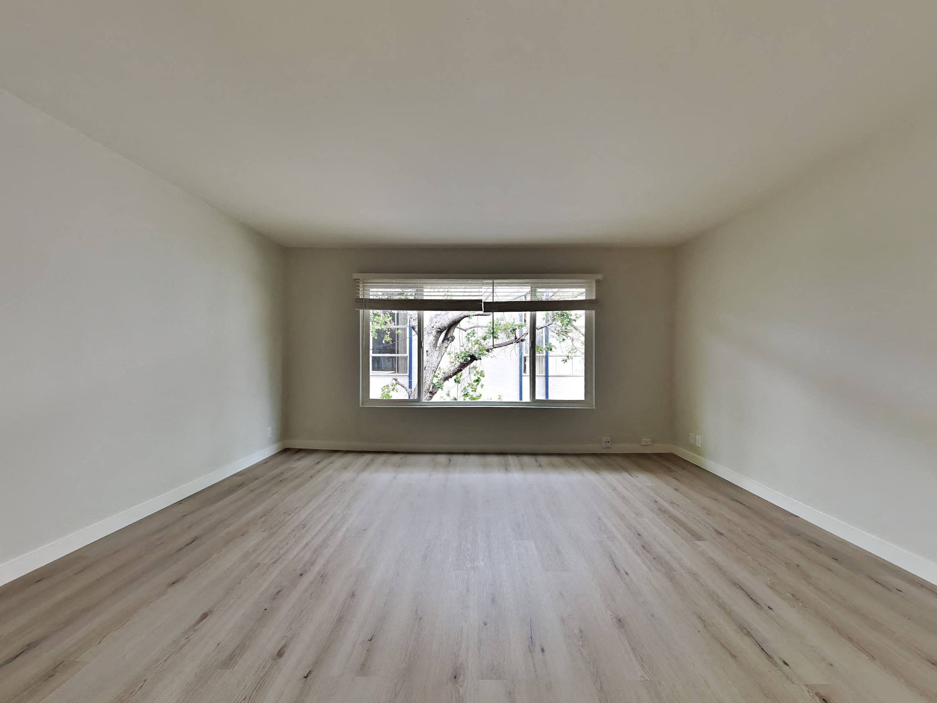 Gallery Photo 4
