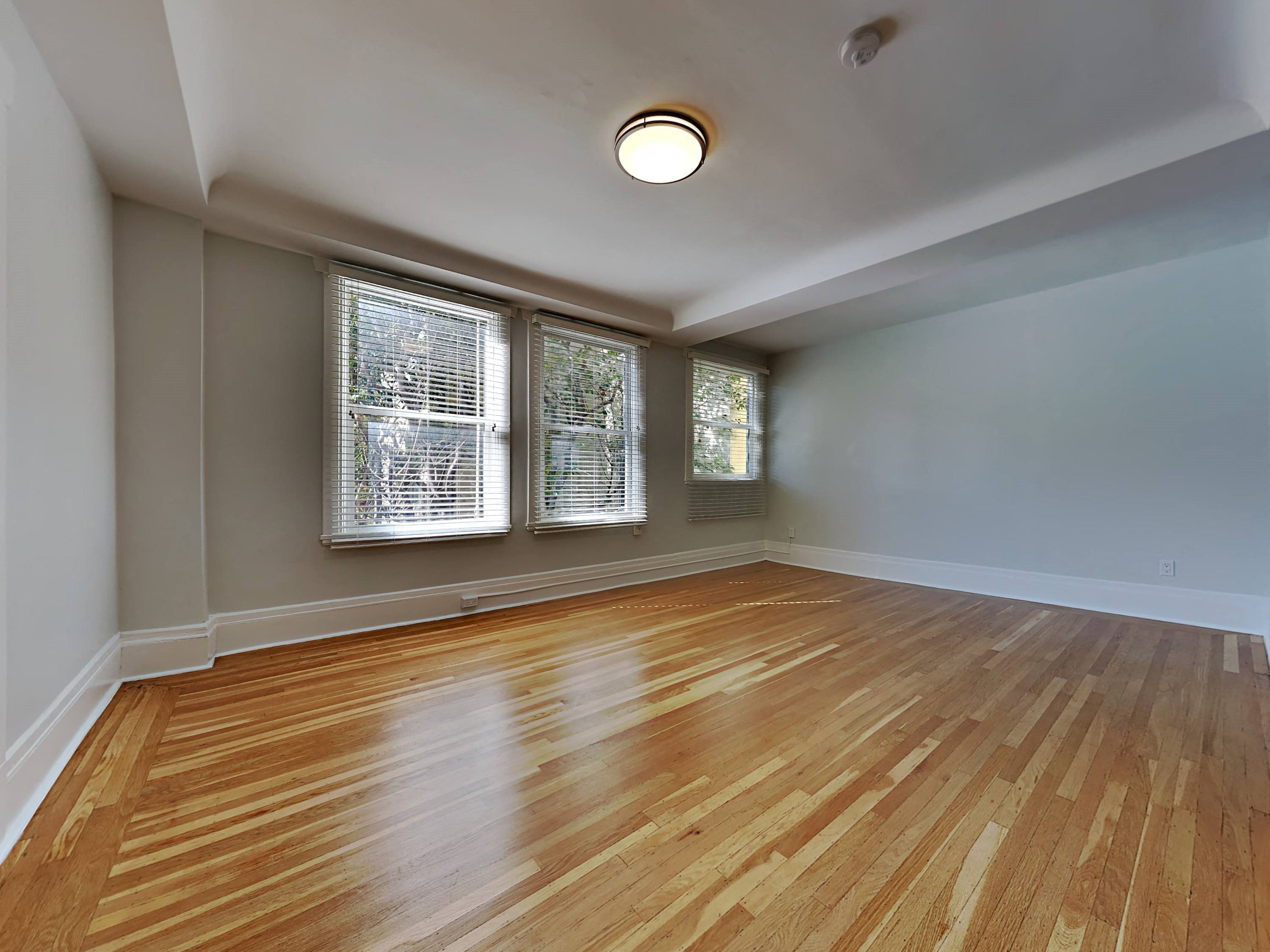 Gallery Photo 4
