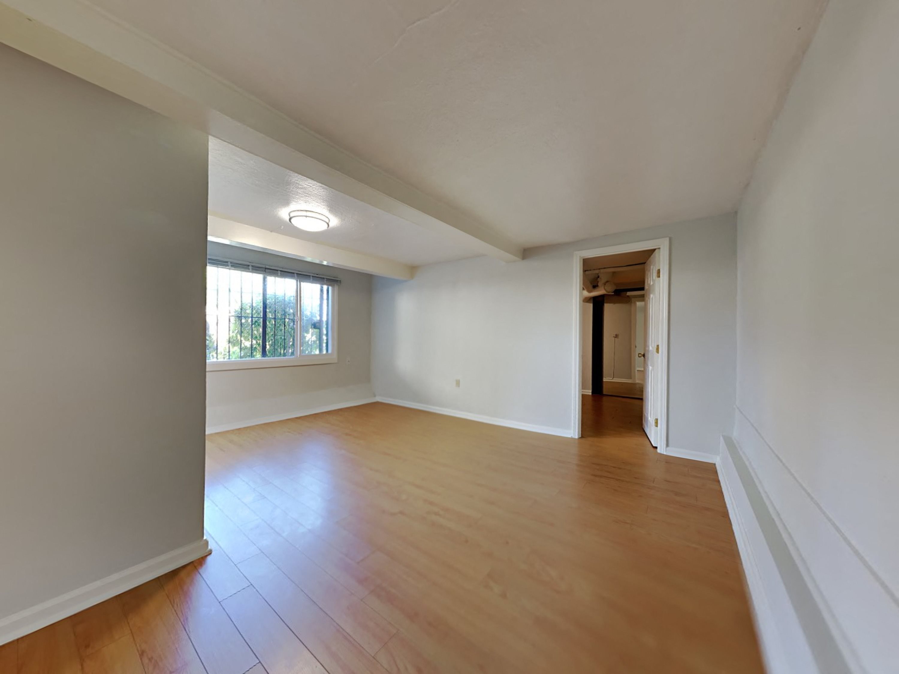 Gallery Photo 12