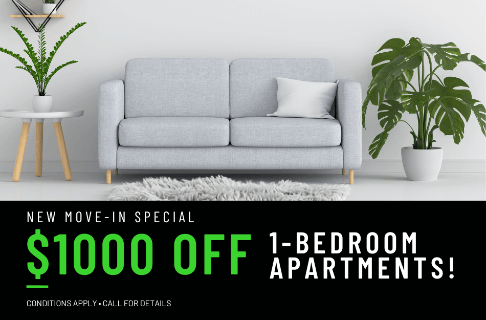 Get $1,000 OFF on our 1-bedroom apartments for a limited time! Conditions apply, call for details.