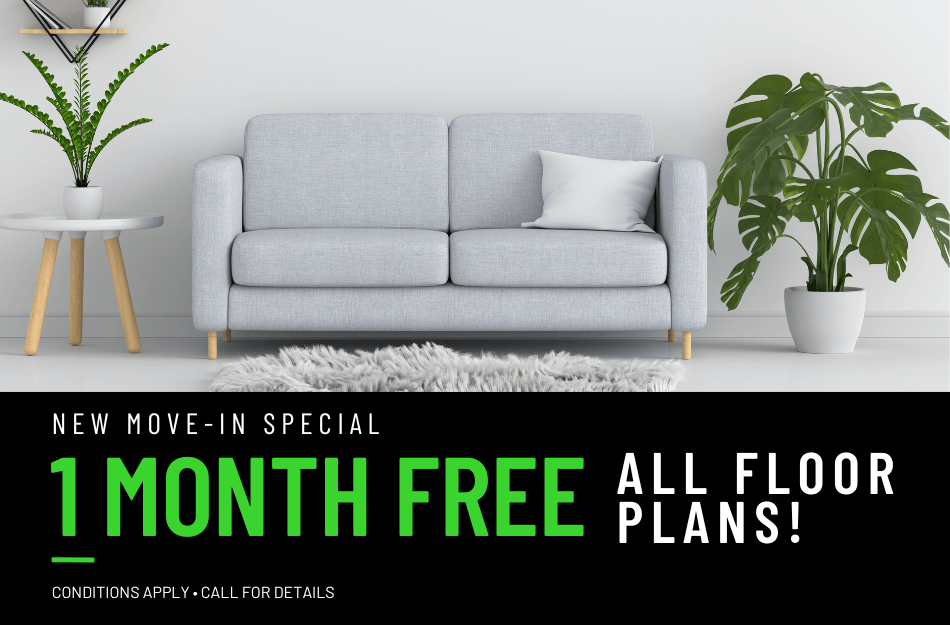 Get 1 month FREE on all floor plans for a limited time! Conditions apply, call for details.