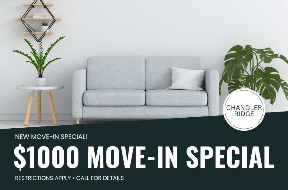 $1000 move-in special! Restrictions apply, call for details.