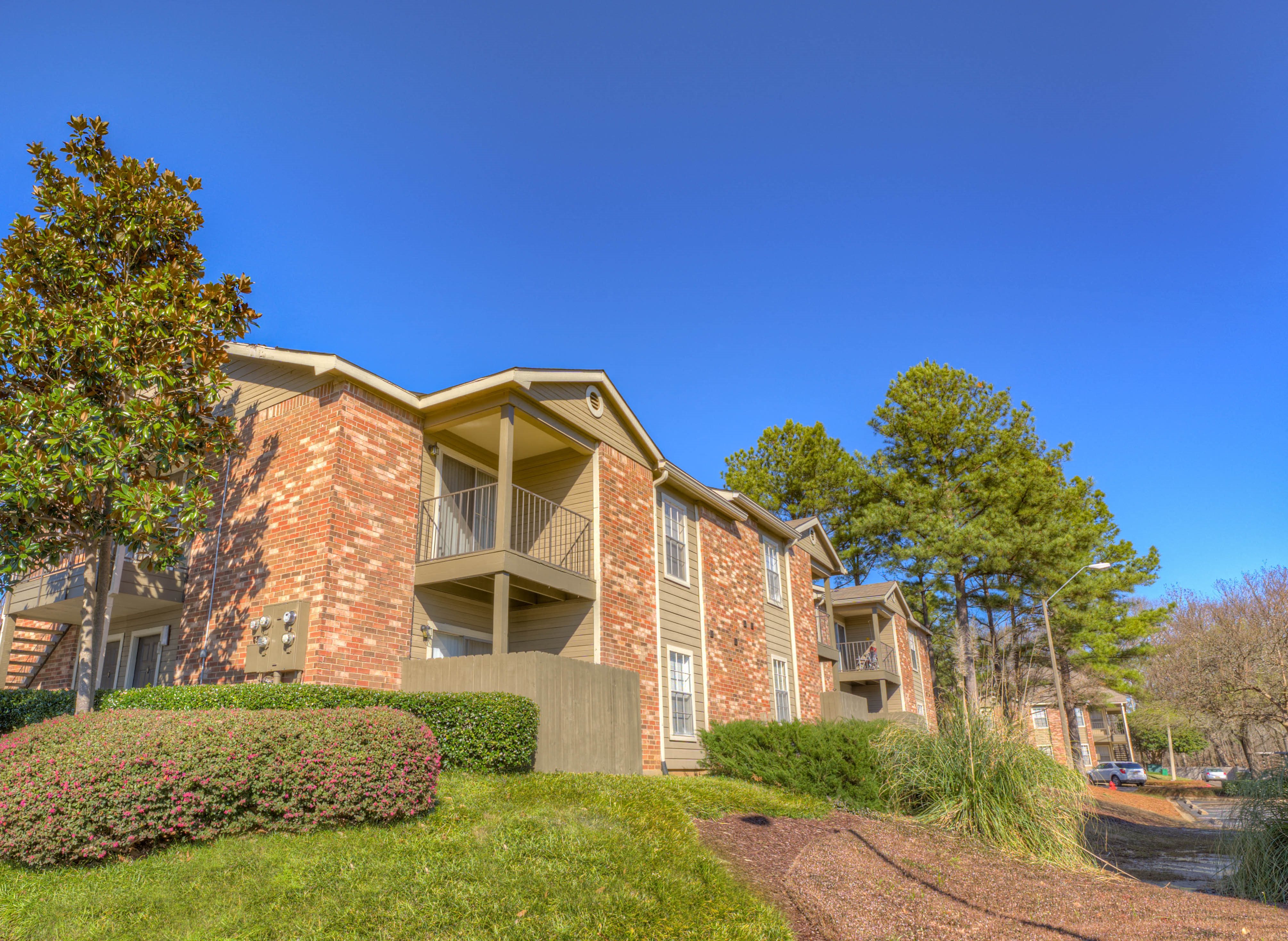 Photos and Video of Pear Orchard in Ridgeland, MS