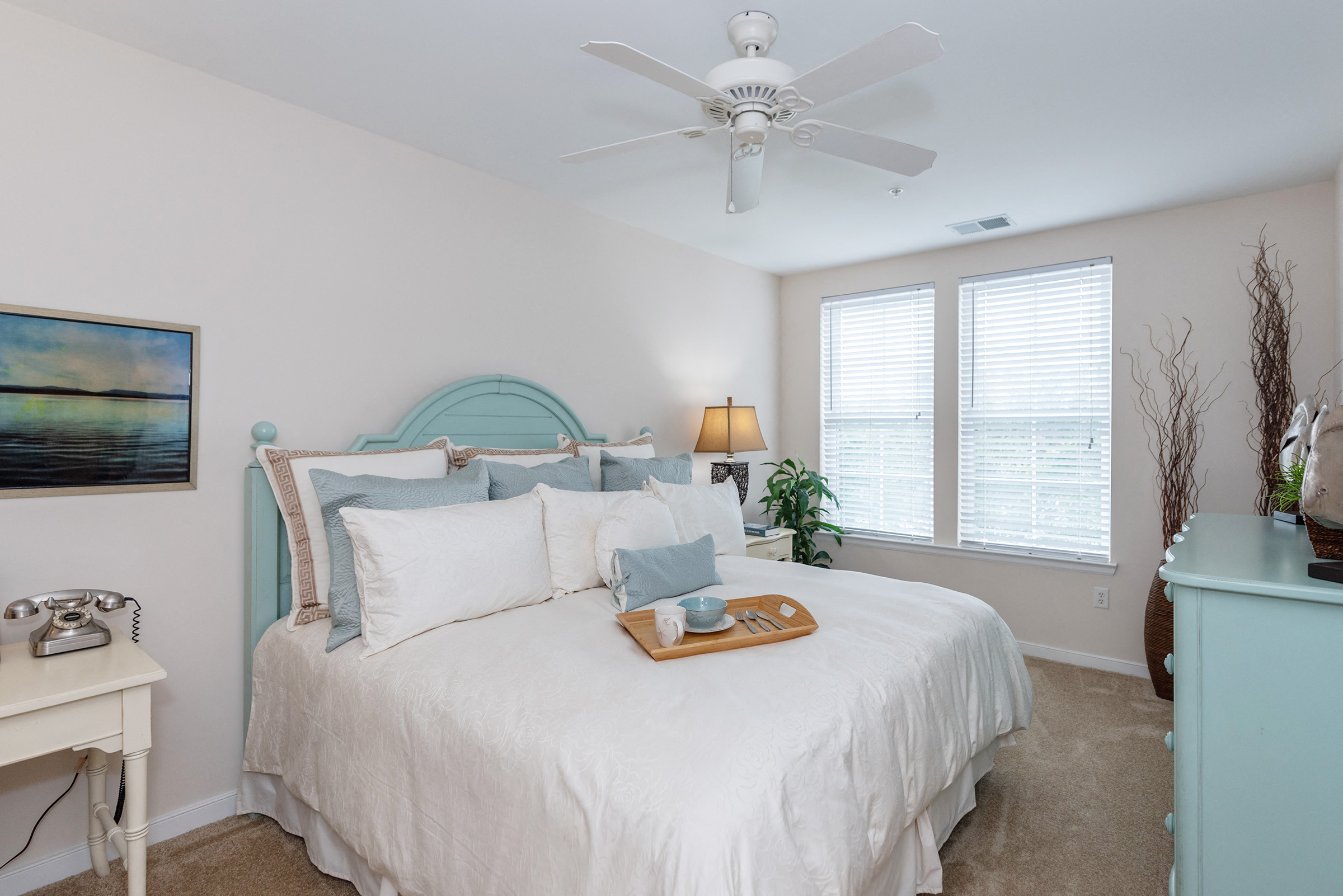 planet fitness columbia sc two notch