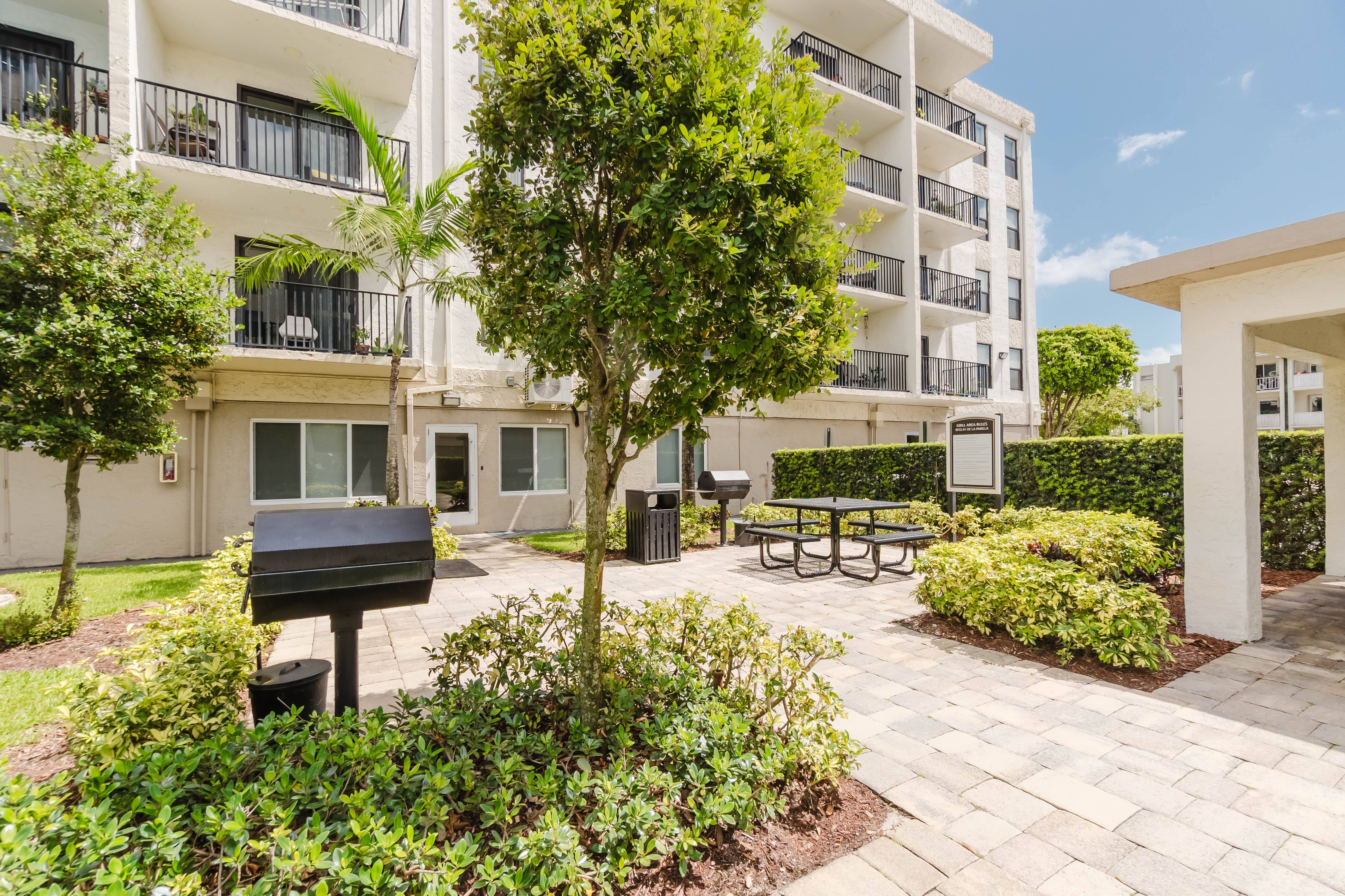 A tree in a landscaped courtyard in front of apartment buildings.,A tree in a landscaped courtyard in front of apartment buildings.