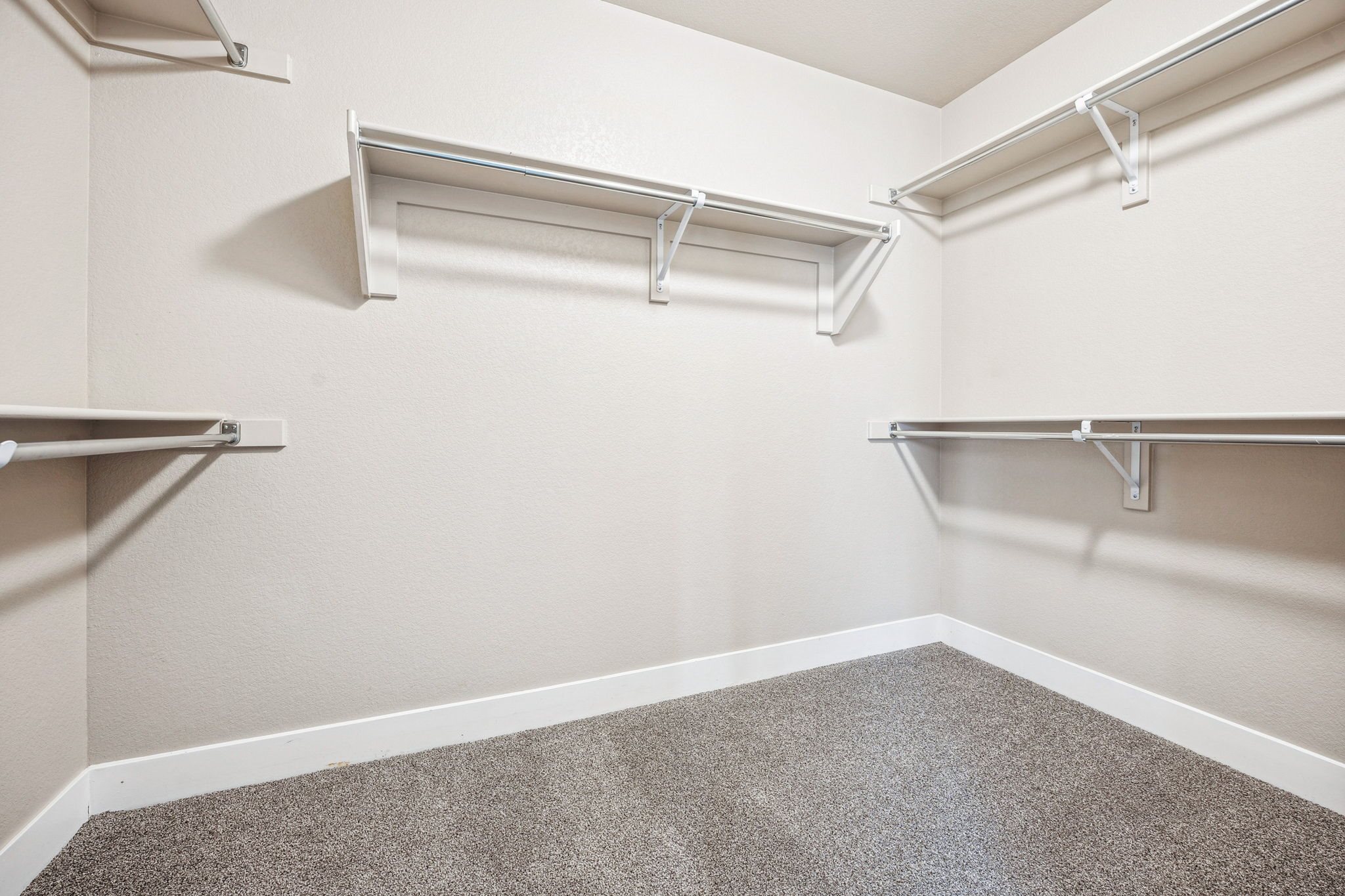 Empty walk-in closet with shelves and carpeted floor.