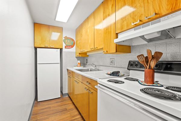 1 Bed 1 Bath
