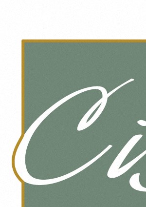 Community Investment Strategies, Inc. Community Investment Strategies, Inc. Logo 1