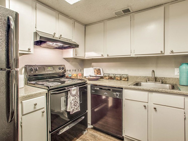 Fully Furnished Kitchen With Stainless Steel Appliances at Newport Apartments, CLEAR Property Management, Texas, 75062