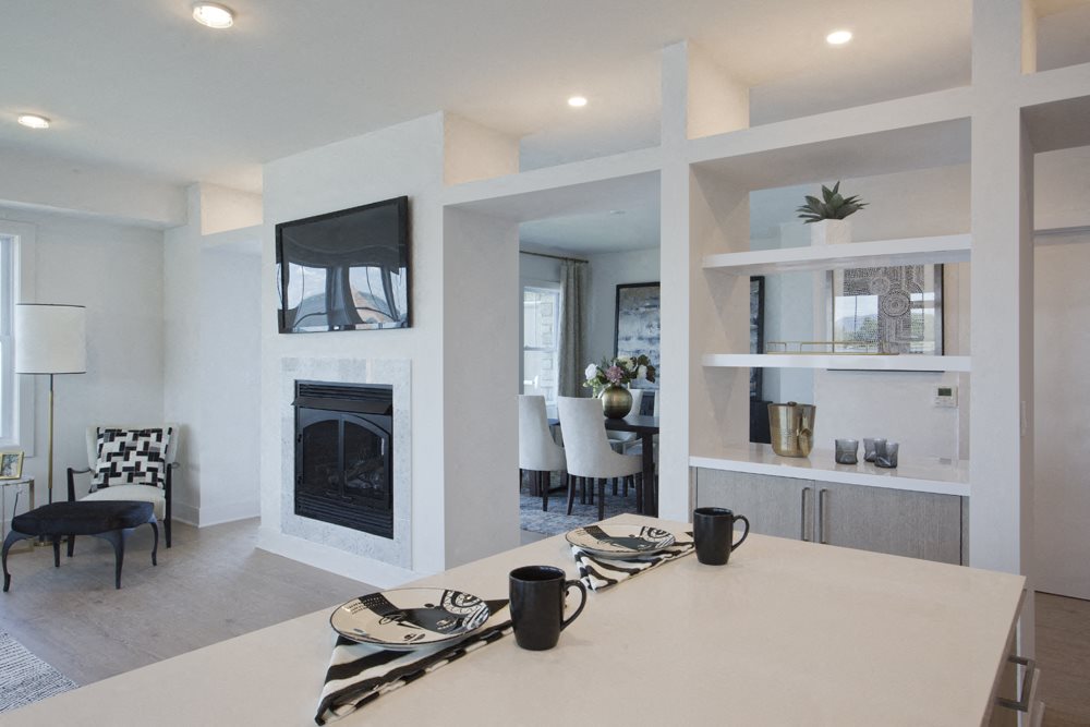 The Harbors Gas Fireplace