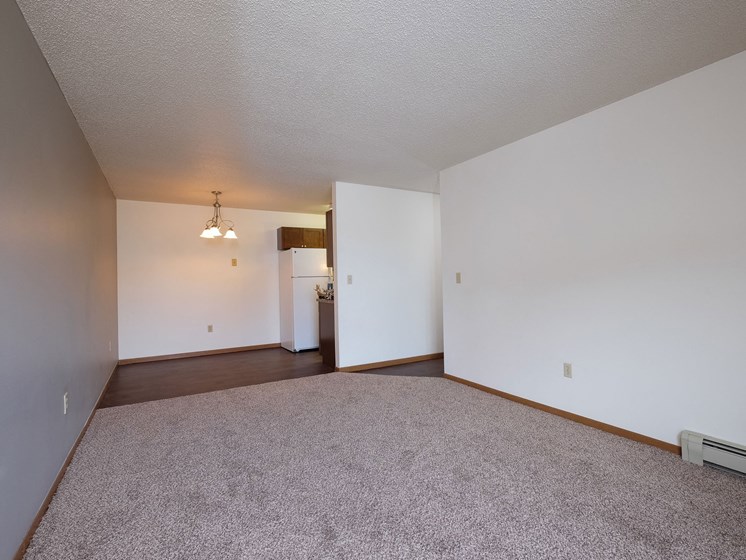 Carlton Place Apartments | Living Room