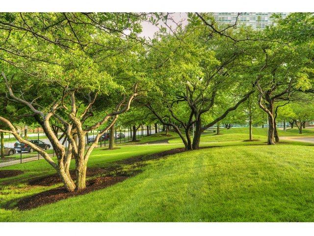 Dog Park at Prairie Shores, Illinois