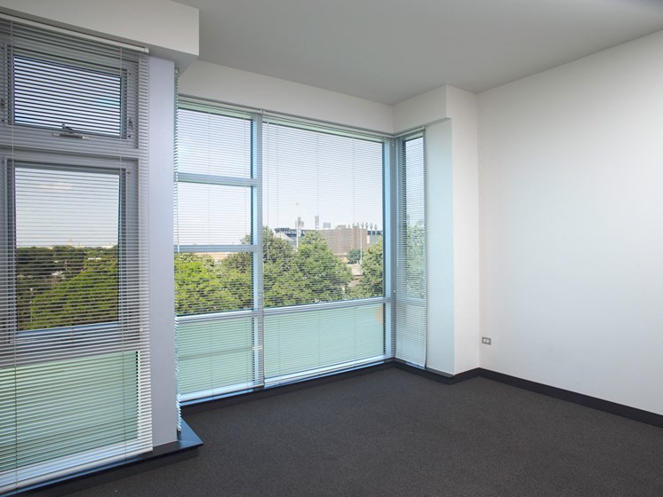 Image of Park boulevard IIB living room with close up of large windows and views from windows