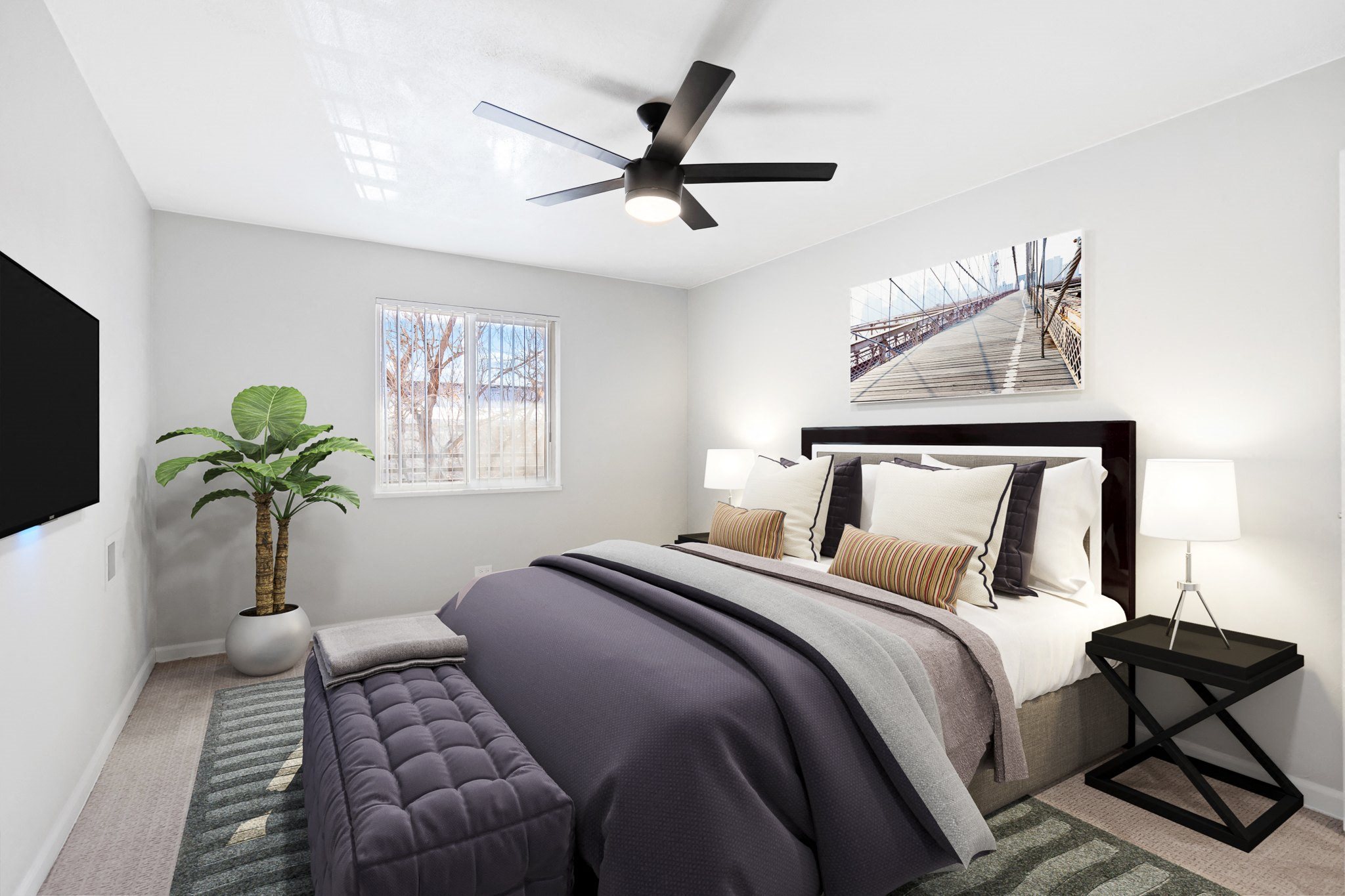 Photos and Video of The Abraham in Denver, CO