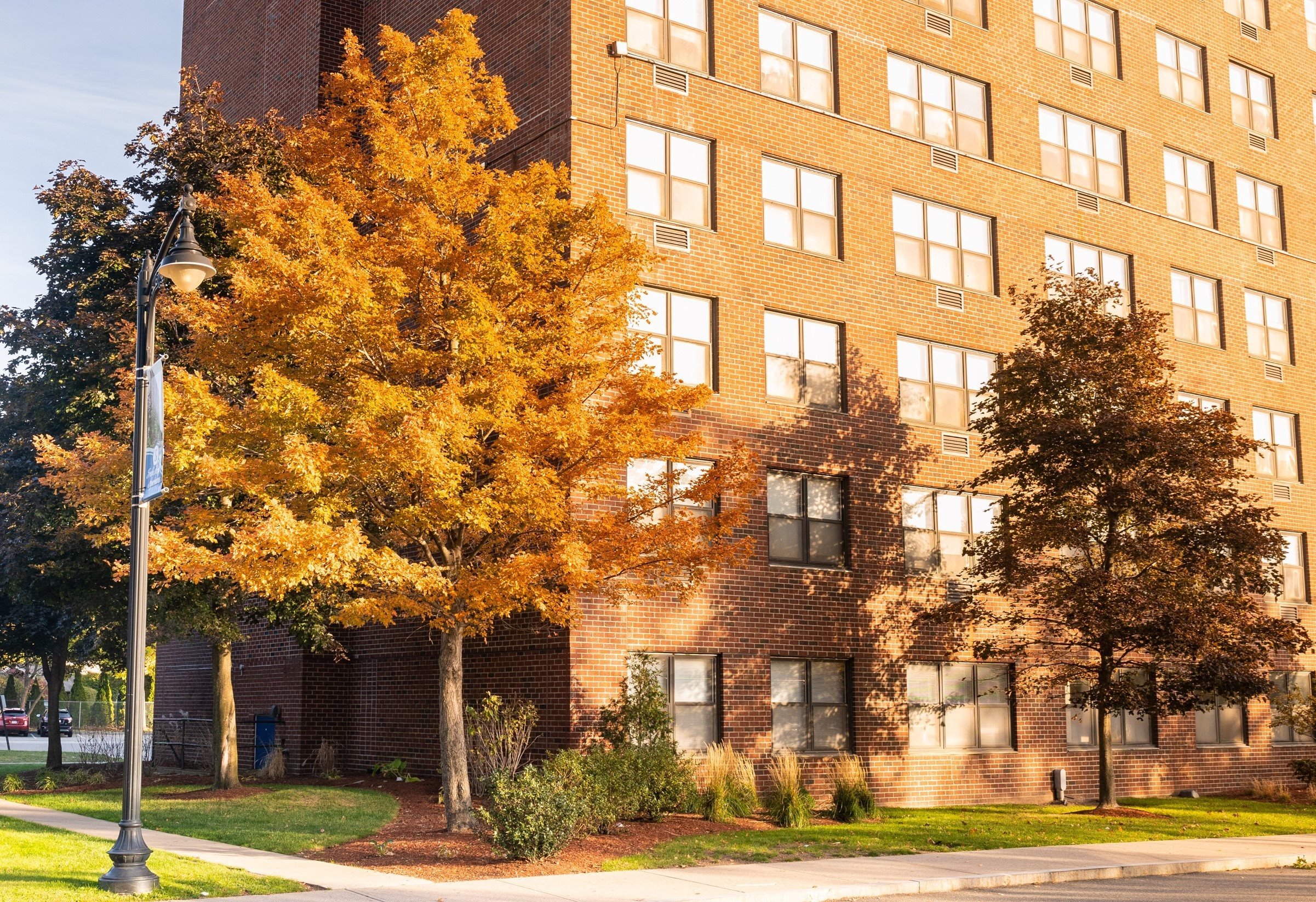 Fresh Pond Apartments