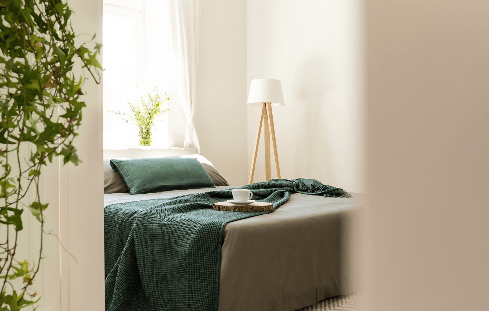 Ovation Senior Living Apartments Apartments in Olmito, TX