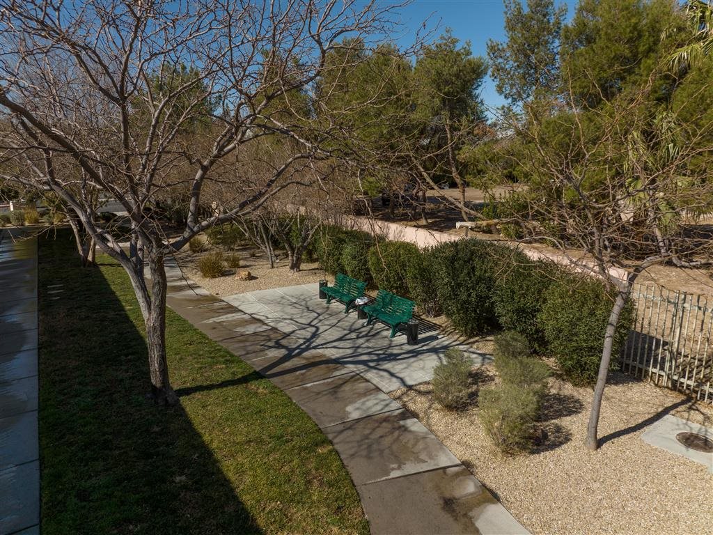 A park with a bench and a tree.