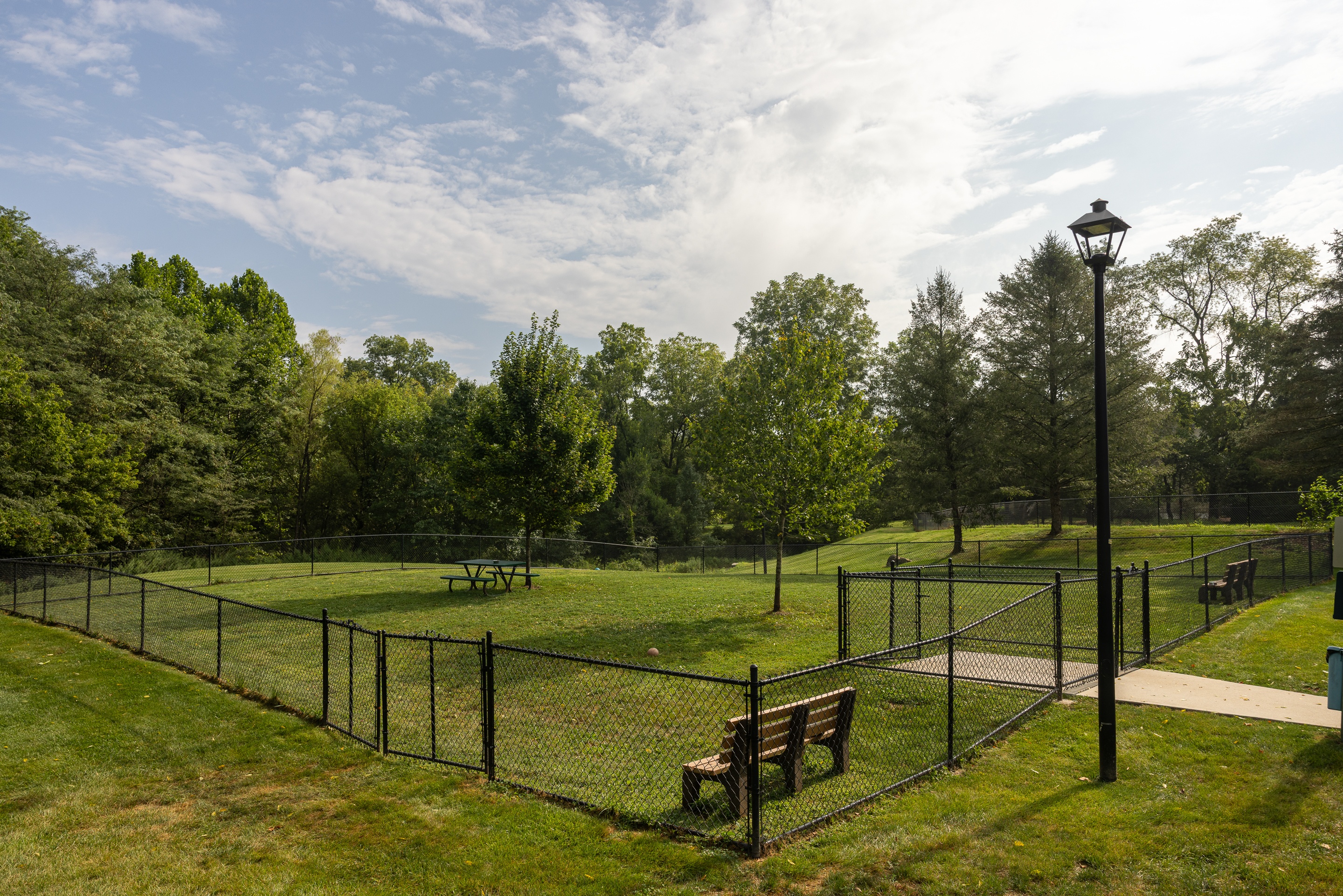 A park with a fence, bench, and lamp post.