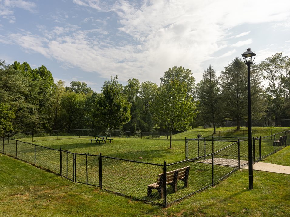A park with a fence, bench, and lamp post.