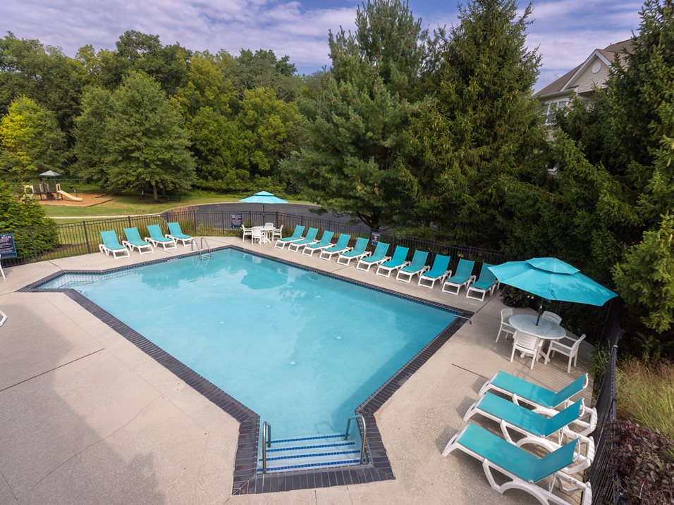 A large swimming pool surrounded by trees and lounge chairs.
