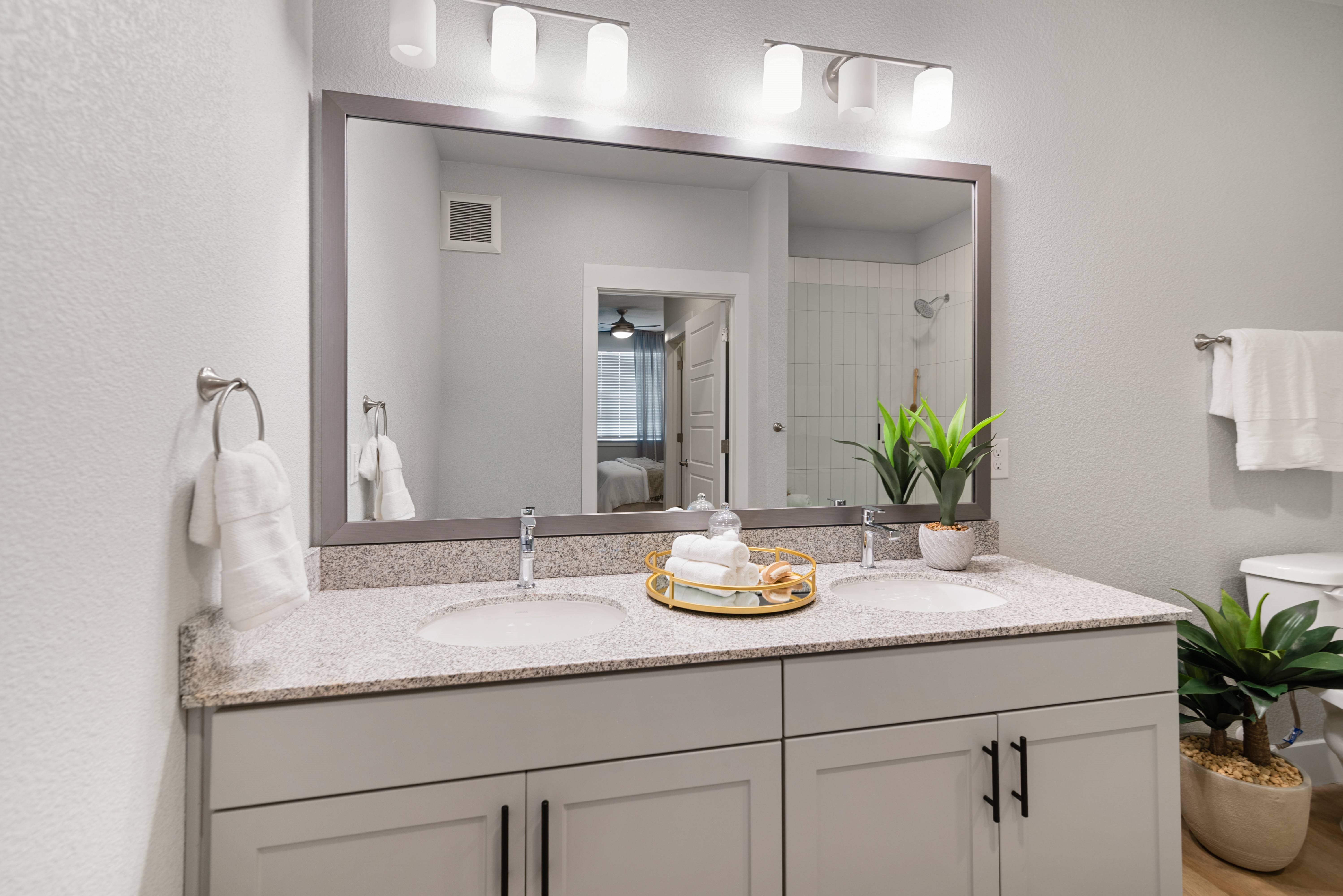 A bathroom with a sink, mirror, and a potted plant.