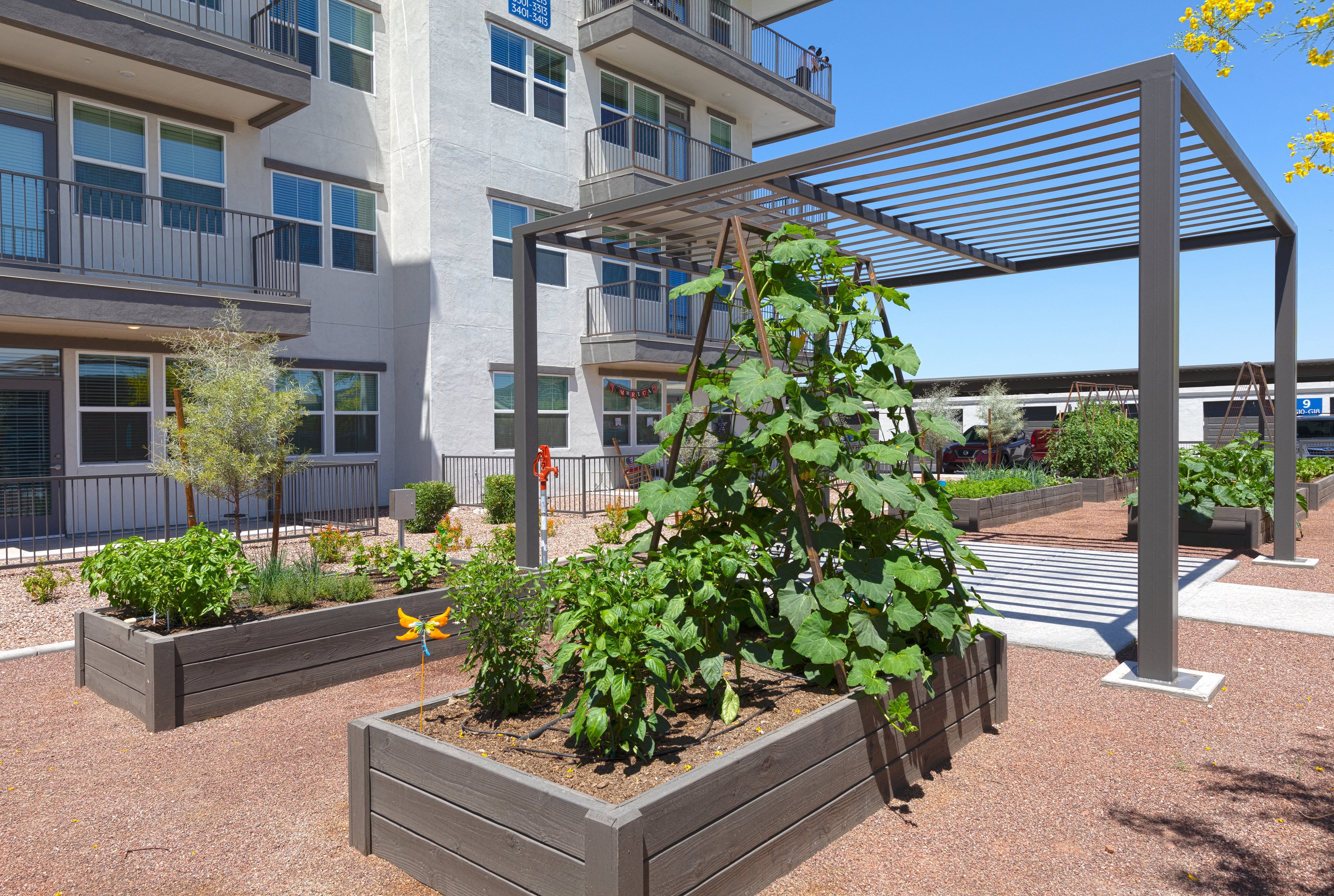 a community garden with raised beds at a senior apartment community