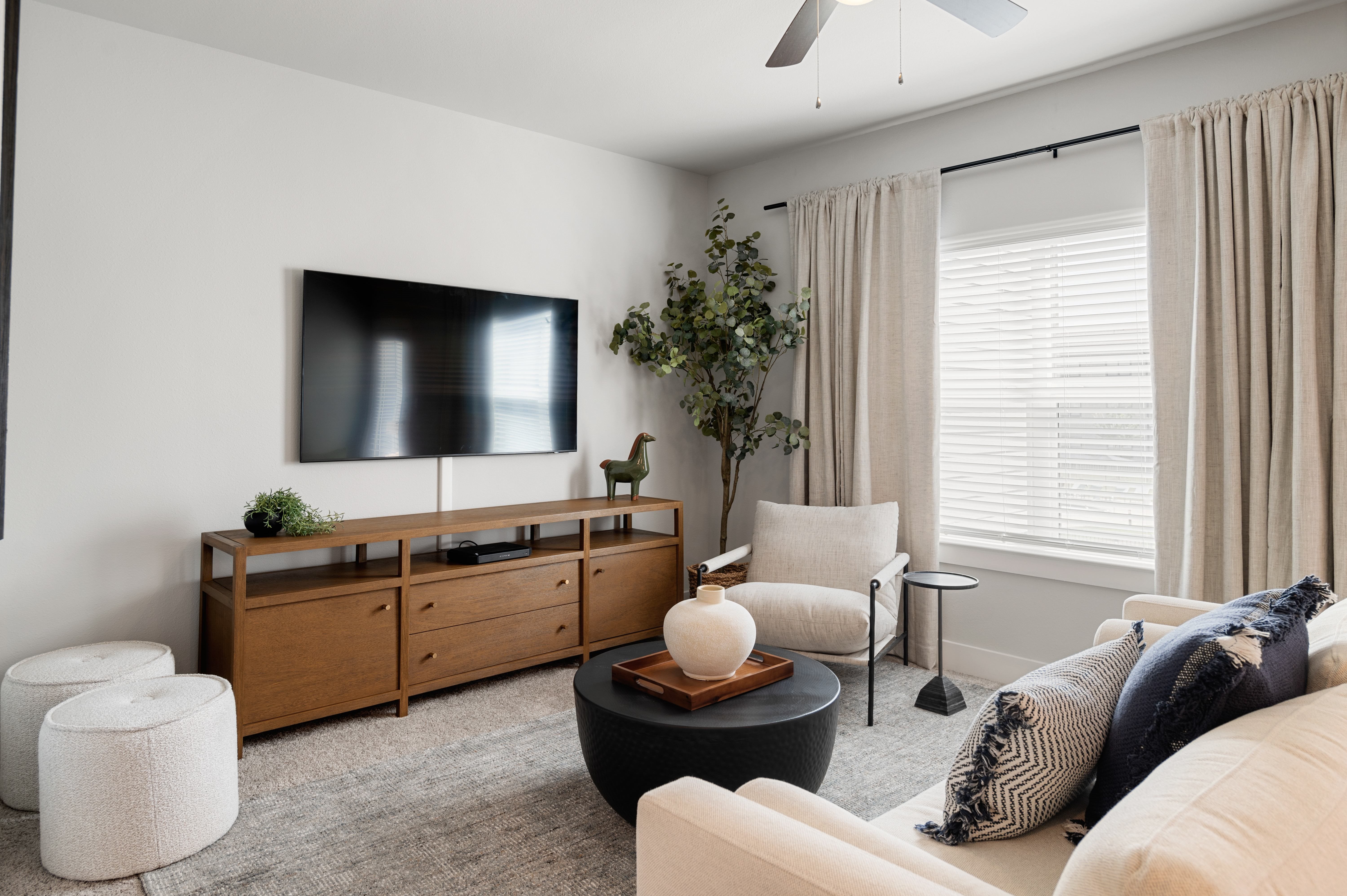 A living room with a television, a couch, and a plant.