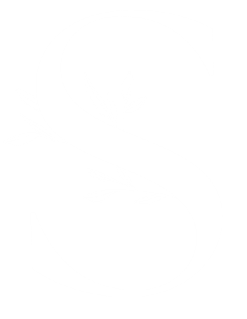a white letter s on a black background