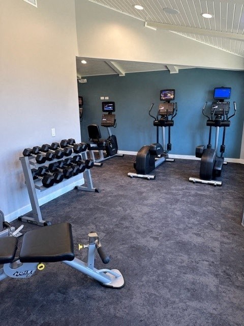 Free Weights