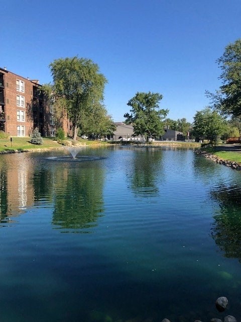 Serene Ponds & Fountains