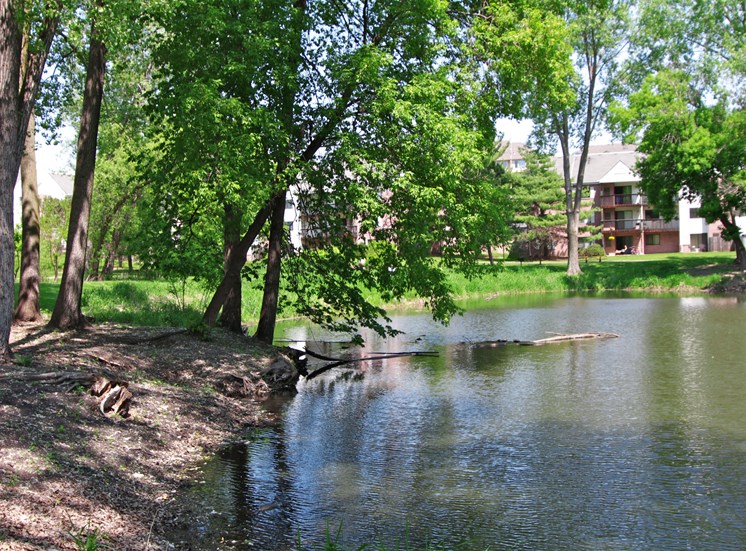 Scenic Pond
