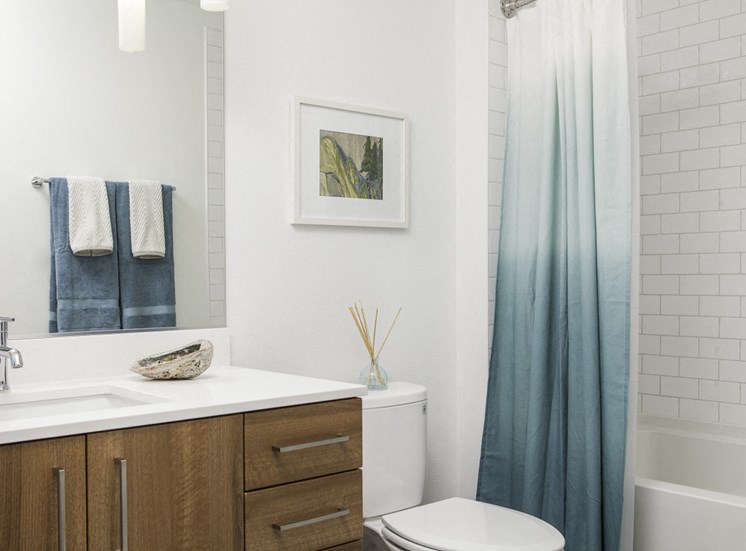 4730 California Apartments Bathroom Modern, Flat-Panel Cabinets