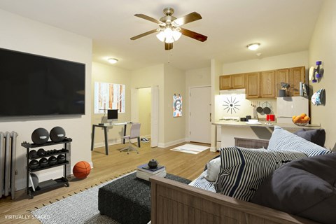Studio 450 sq ft Living Room and Kitchen