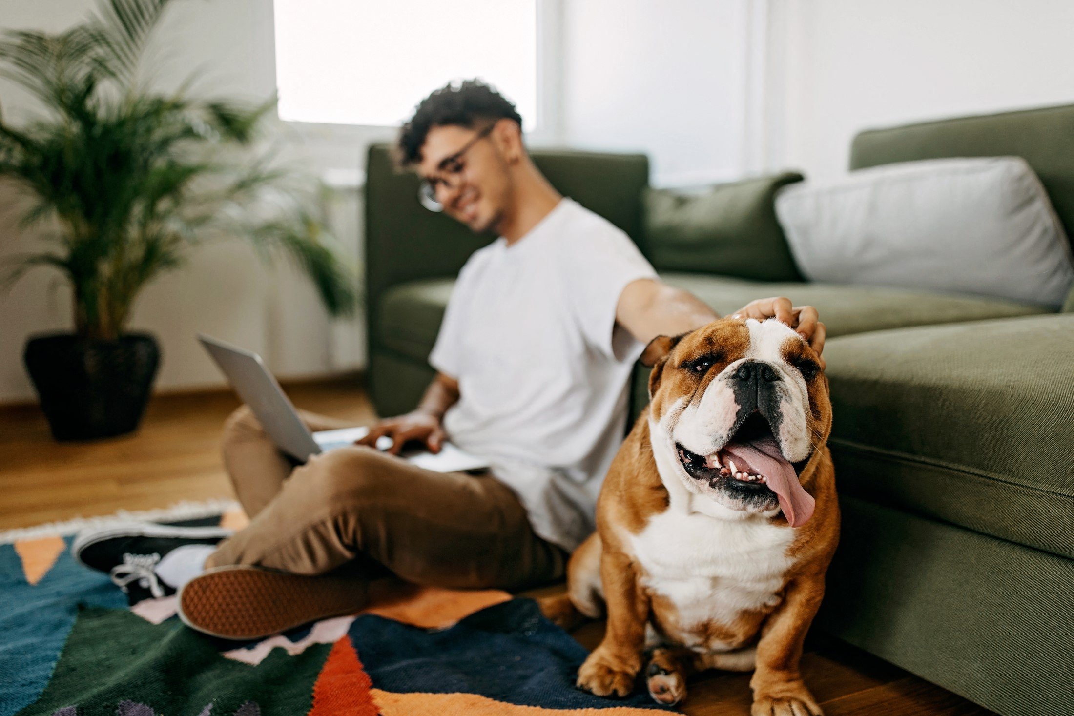 man at home sitting by his couch with his pet bulldog and looking at laptop