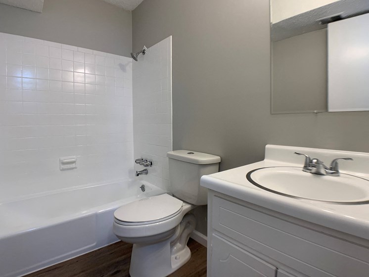 bathroom with vanity toilet and tub