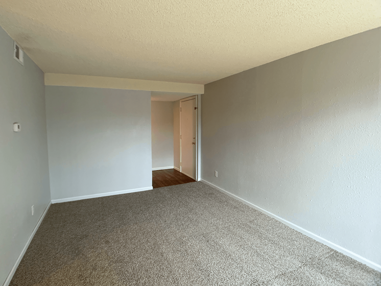large carpeted room