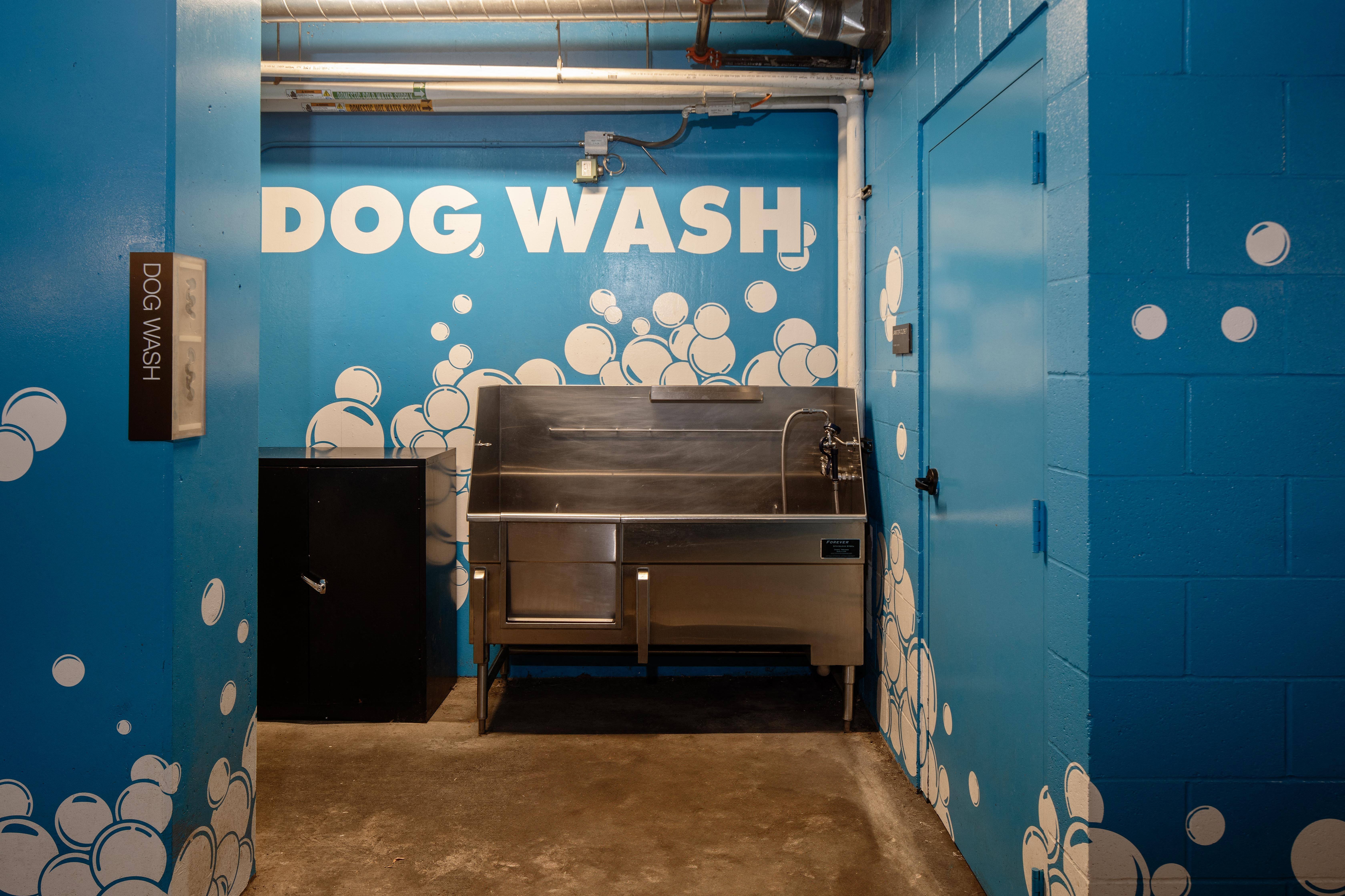 a dog wash is shown in a blue wall with a stainless steel grill