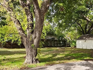 a tree in a yard with a house in the background