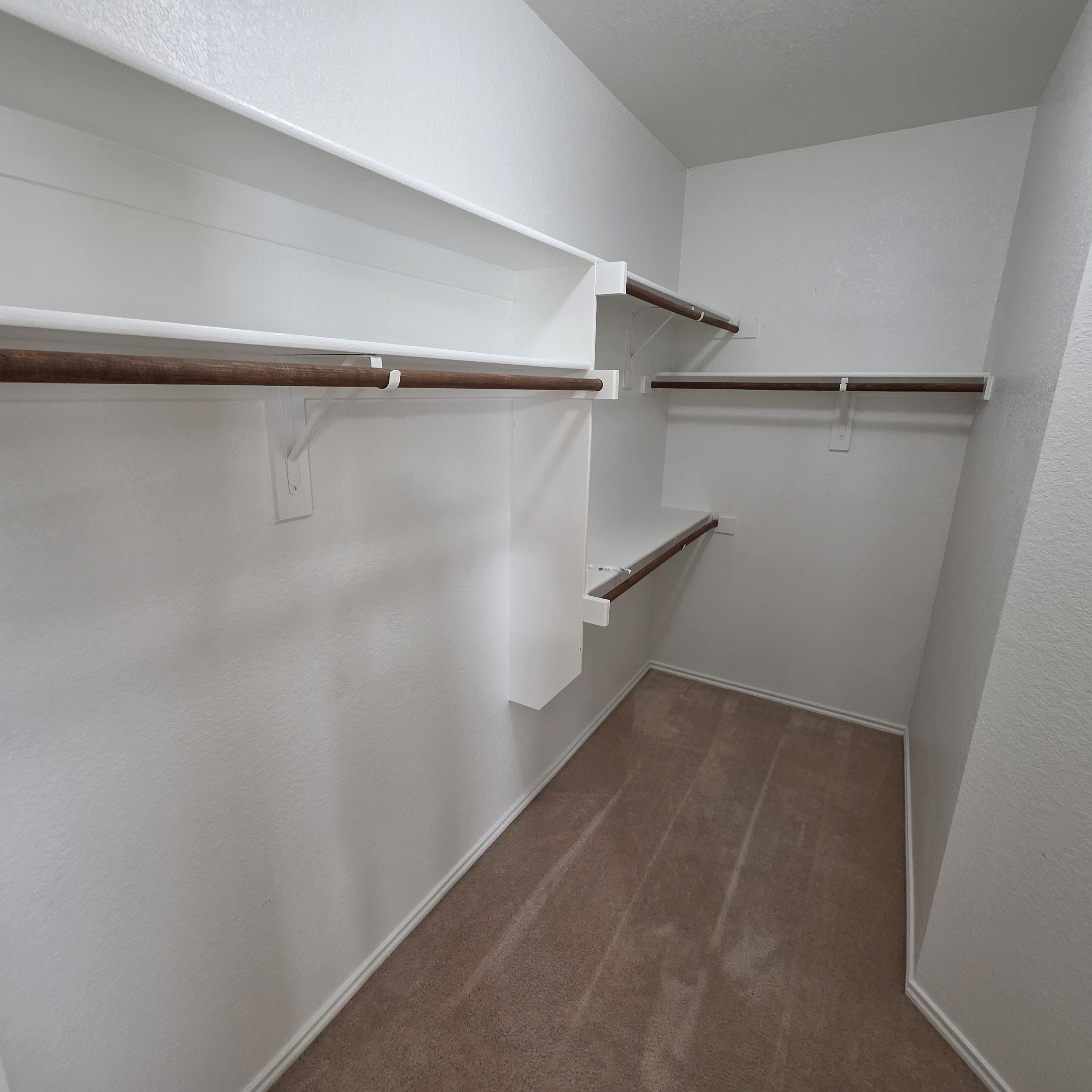 A white closet with shelves and a carpeted floor.