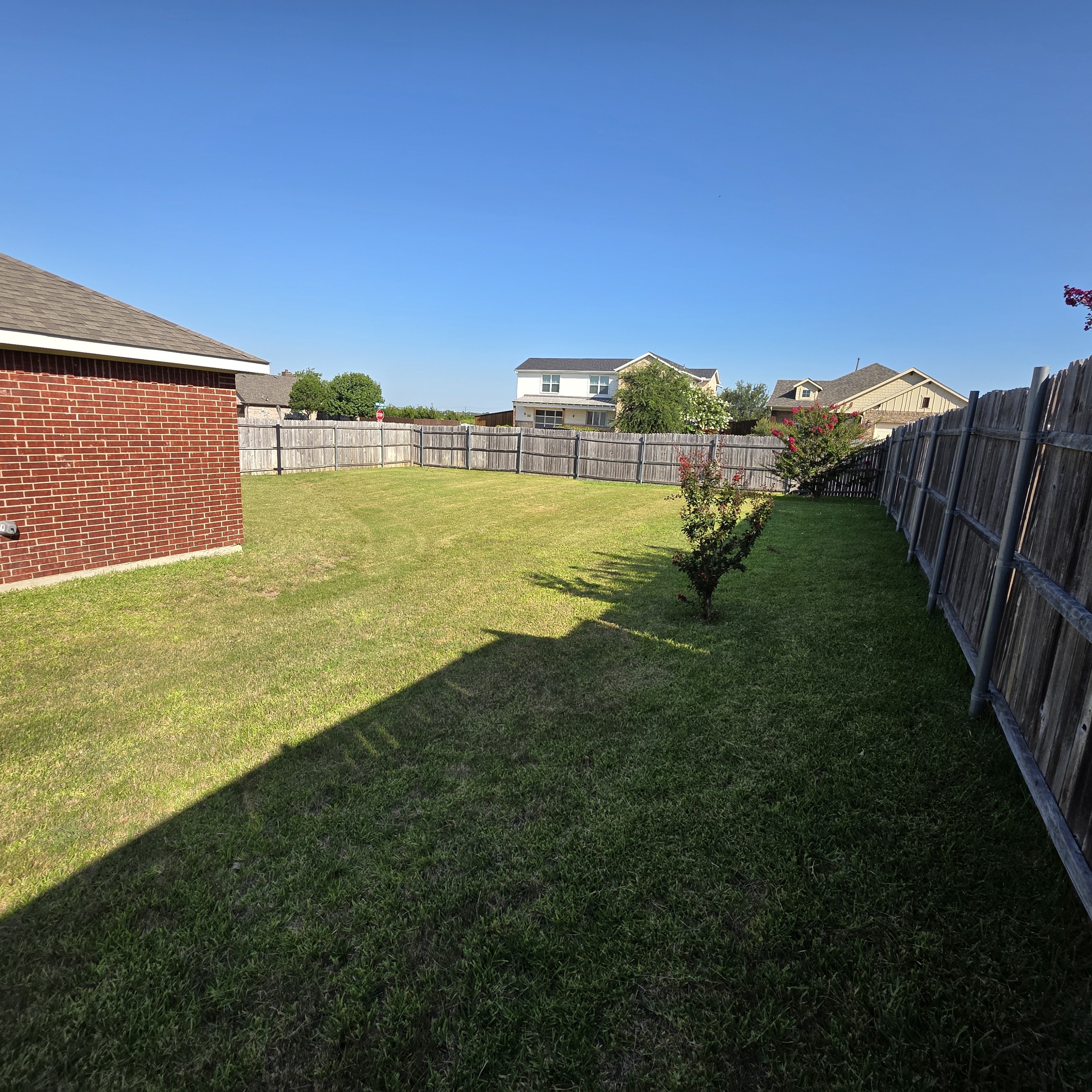 A backyard with a fence and a small tree.